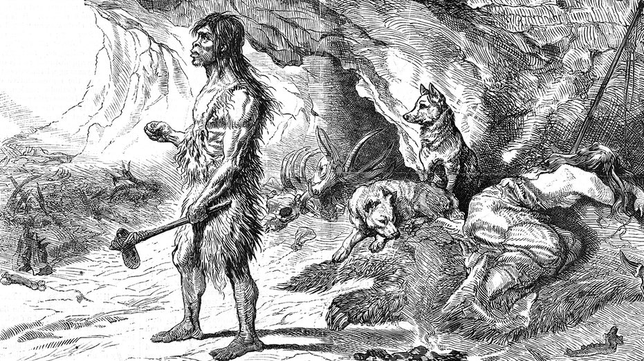 Dogs were 'loyal companions to Ice Age hunters' far earlier than believed, study finds Byron Bay Accountants